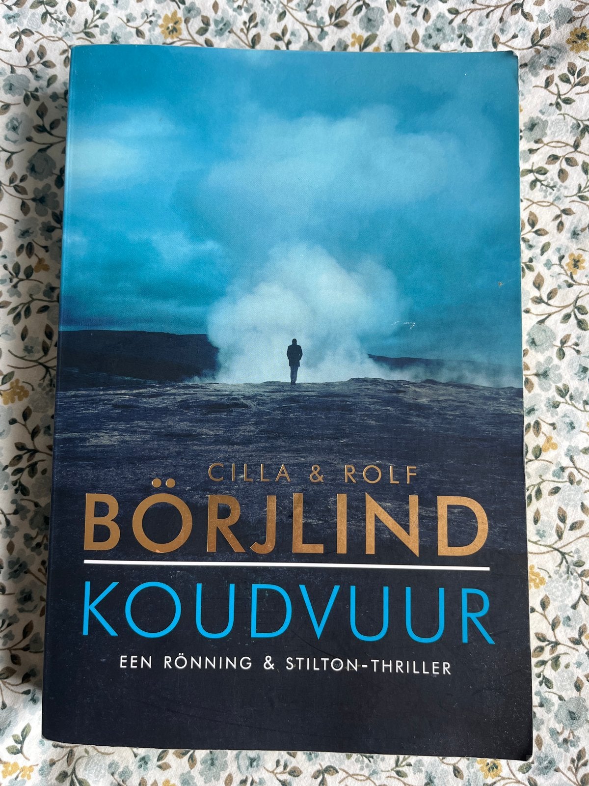 Koudvuur - Cilla & Rolf Börjlind (Rönning & Stilton-thriller, Boeken, Ophalen of Verzenden, Gelezen, Scandinavië