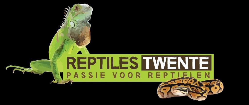 Opvangdieren zoeken een nieuw thuis, Ophalen of Verzenden