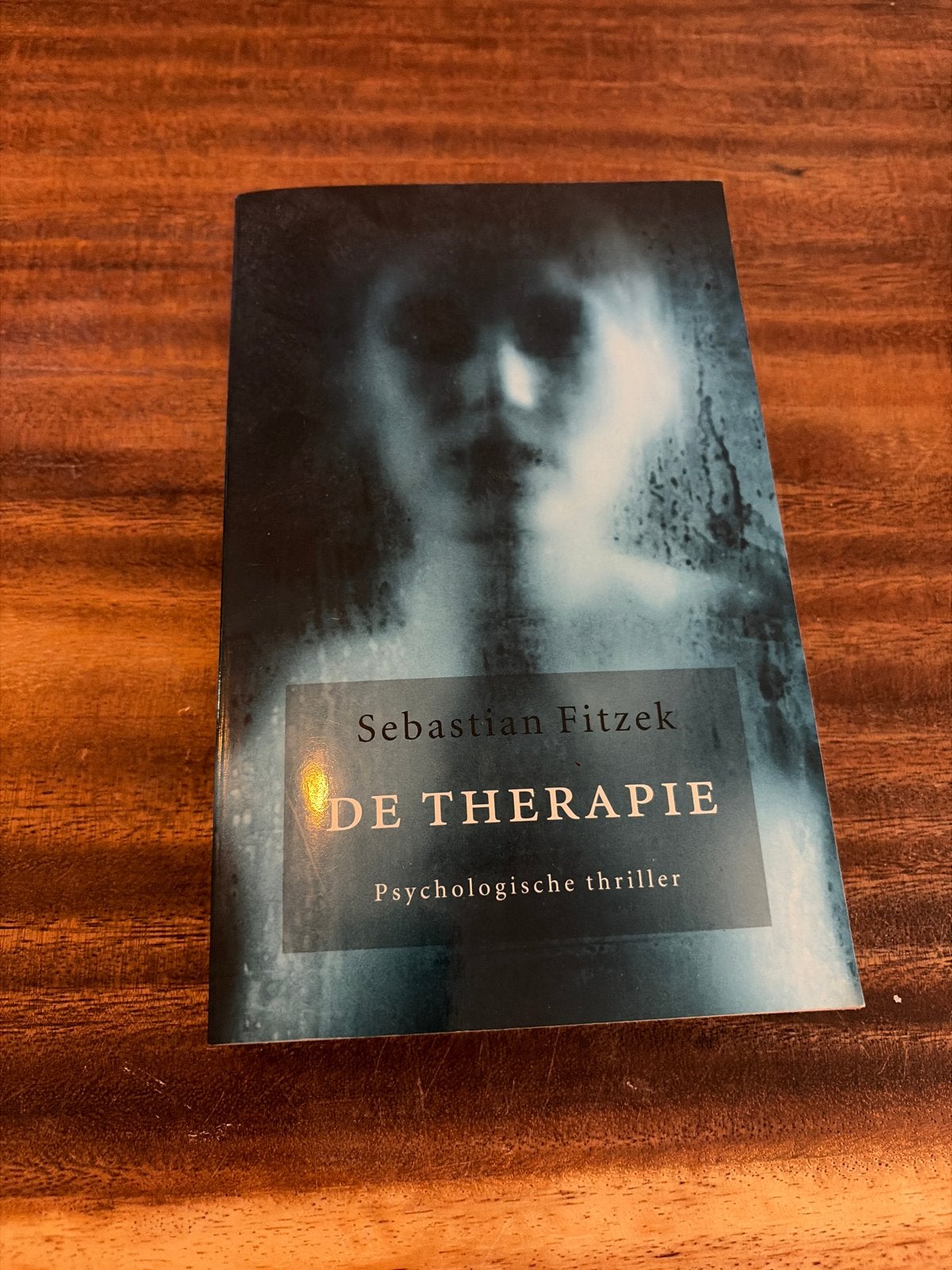 De Therapie - Sebastian Fitzek (Psychologische thriller), Ophalen of Verzenden, Zo goed als nieuw, Europa overig