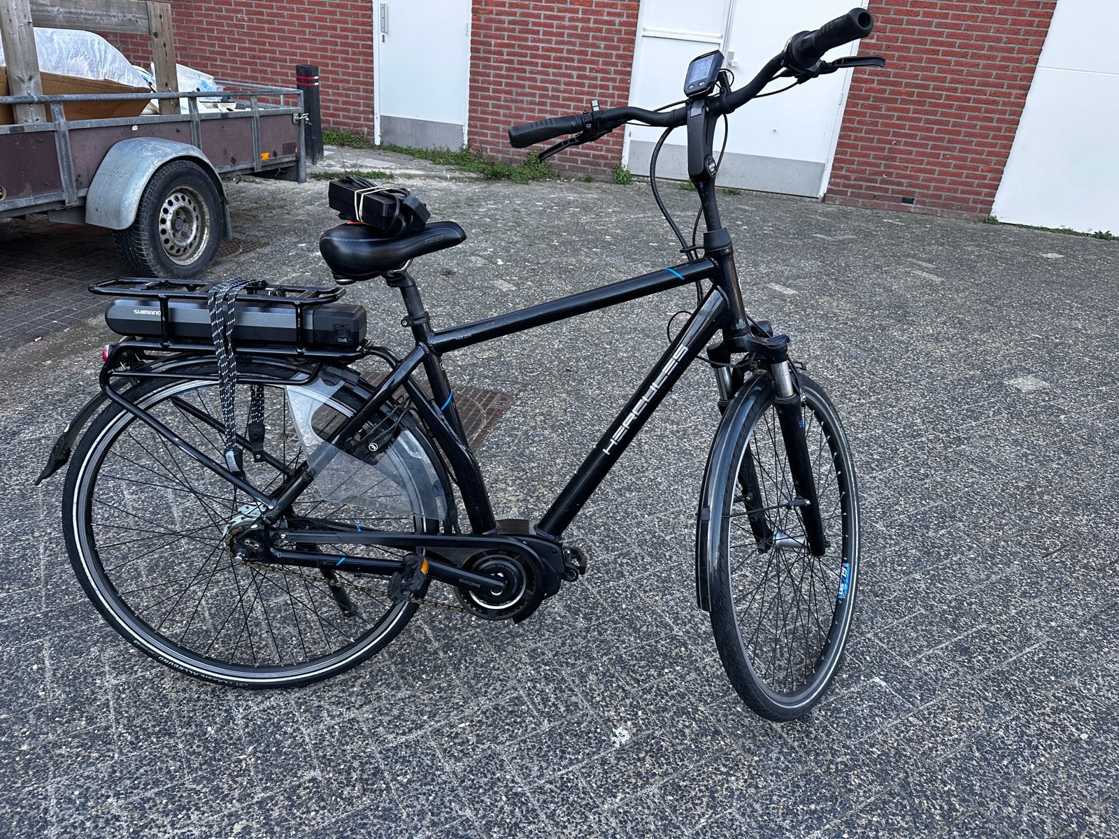Elektrische herenfiets, Ophalen of Verzenden, Gebruikt, Overige merken