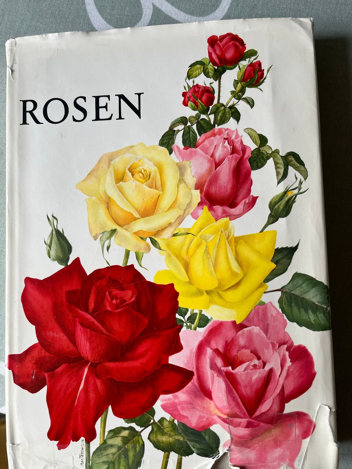 Kunst encyclopedieën over rozen met prachtige reproducties, Ophalen of Verzenden, Zo goed als nieuw, Overige onderwerpen