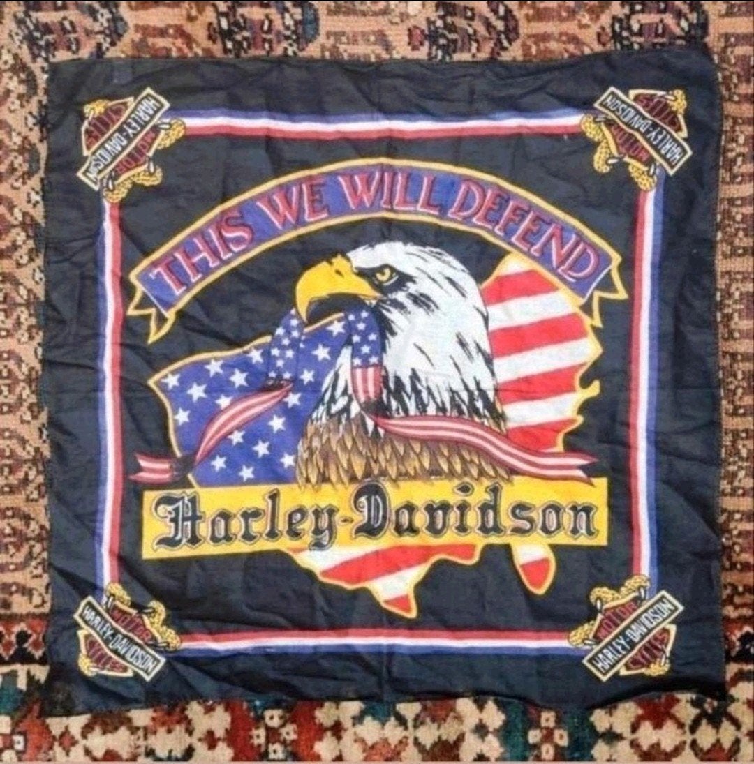 Vintage Harley Davidson Motor Company Motorcycle Star Stripe, Ophalen of Verzenden, Handschoenen