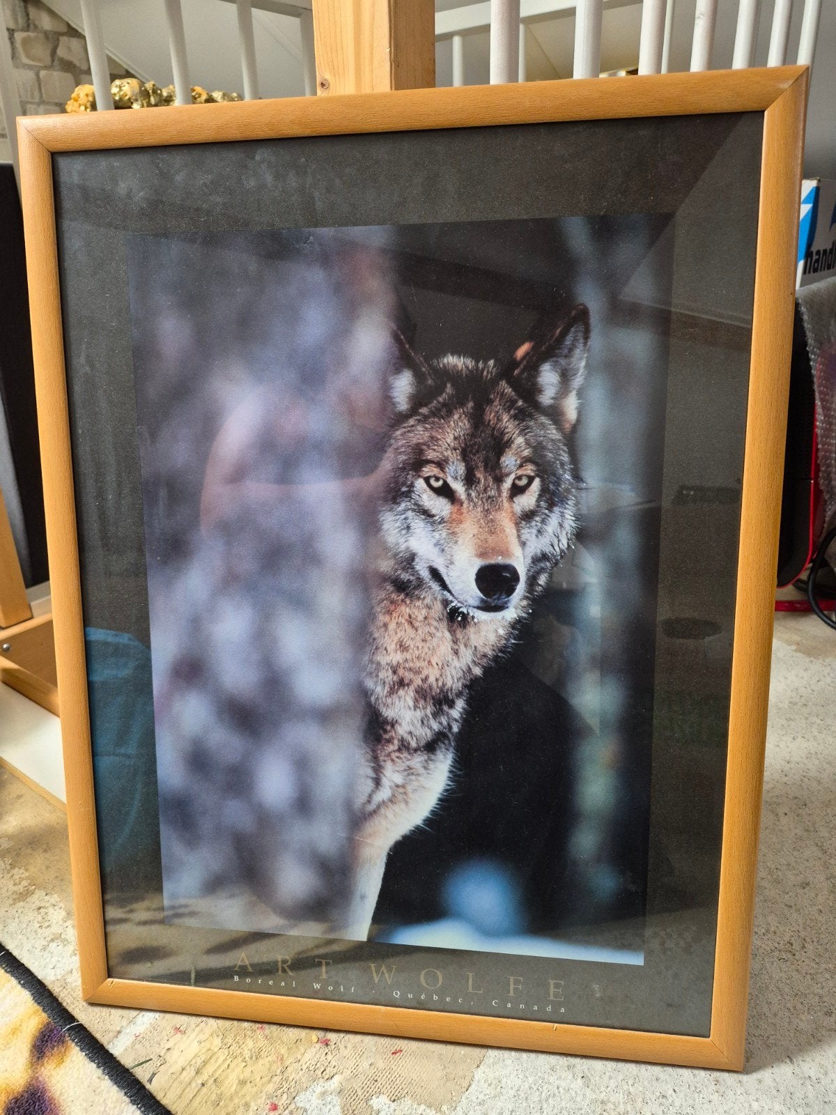 Ingelijste Art Wolfe print, Ophalen, 50 – 75, Gebruikt, Oorspronkelijke maker