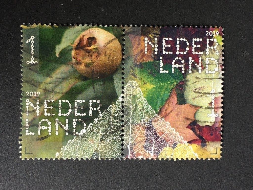 2671 Nederland 2019 NVPH 37781+82 Beleef Bomen - gestempeld, Ophalen of Verzenden, Na 1940, Gestempeld