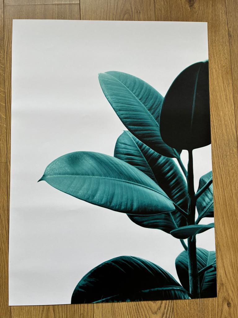 Twee posters Desenio 50x70, Verzamelen, Posters, Rechthoekig Staand, Ophalen of Verzenden, Zo goed als nieuw, A1 t/m A3