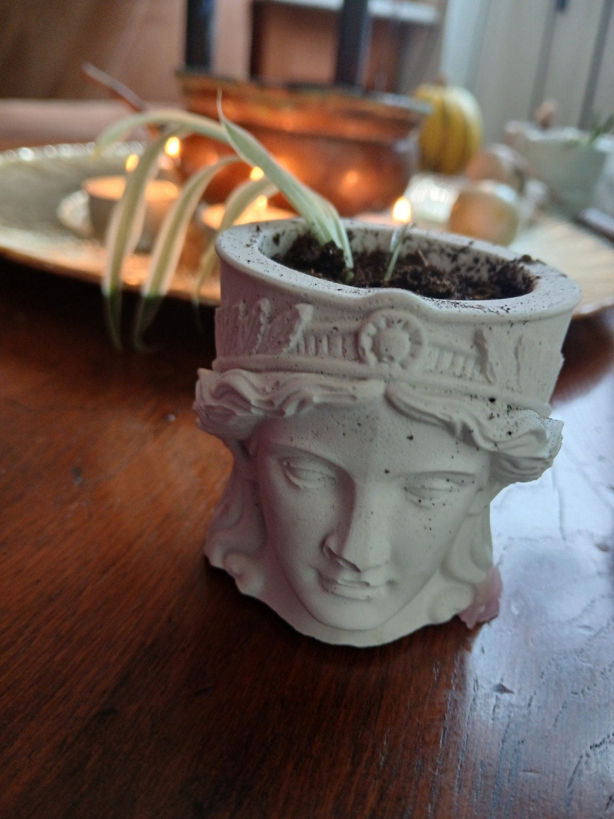 Handgemaakte Medusa Gipsen Plantenpot met Spinplant, Minder dan 20 cm, Gips, Ophalen of Verzenden, Handgemaakt