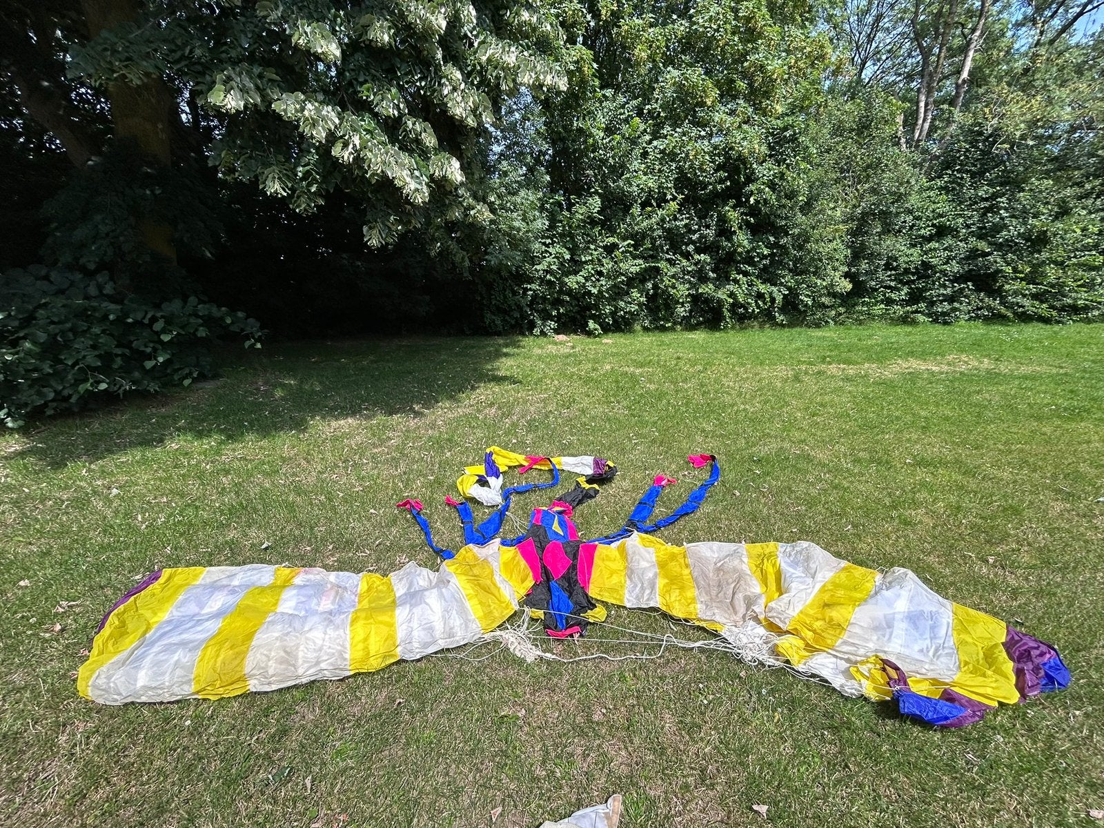Unieke libelle grote festival- of showvlieger, Ophalen, Zo goed als nieuw