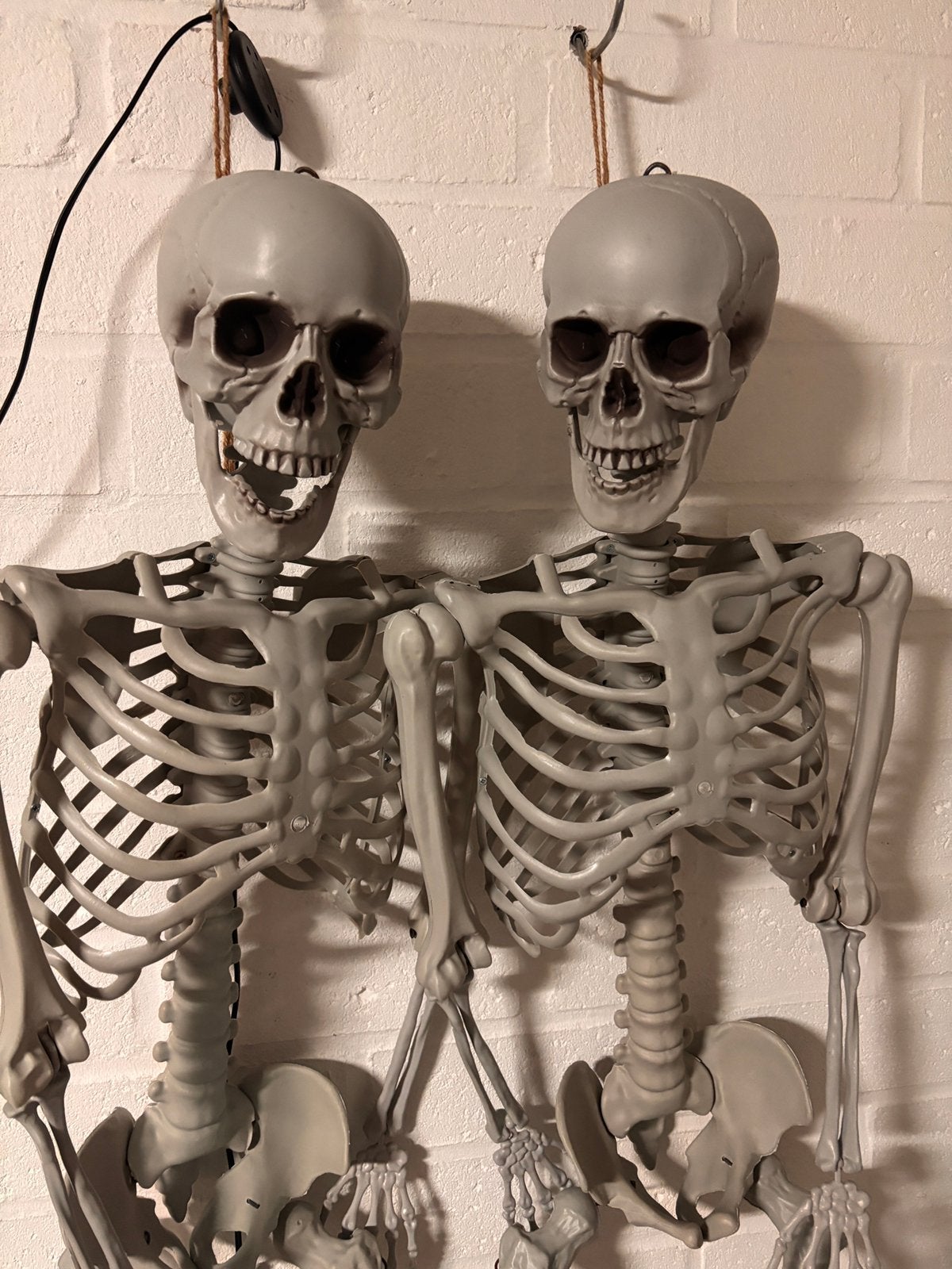 Harrie & Henk zoeken een nieuw spookhuis – 2 grote skeletten, Ophalen, Zo goed als nieuw, Halloween of Griezel