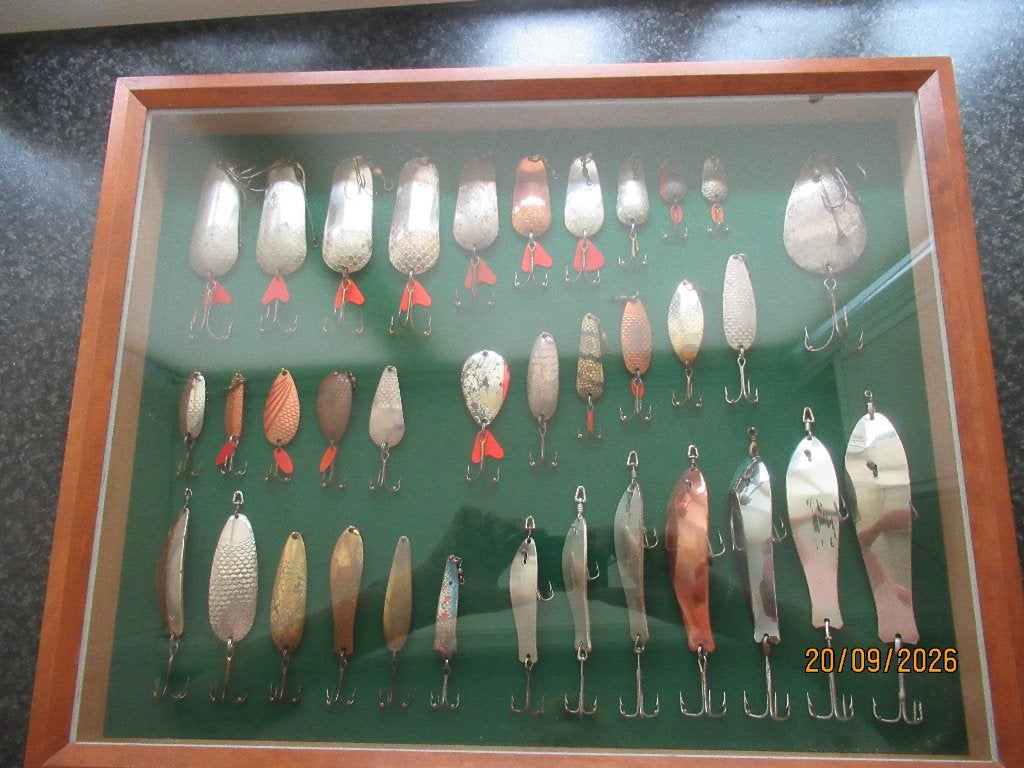 UNIEKE MOOIE VITRINEKAST  - 35 OUDE  KUNST VIS-AAS /LEPELS, Ophalen of Verzenden, Zo goed als nieuw, Kunstaas