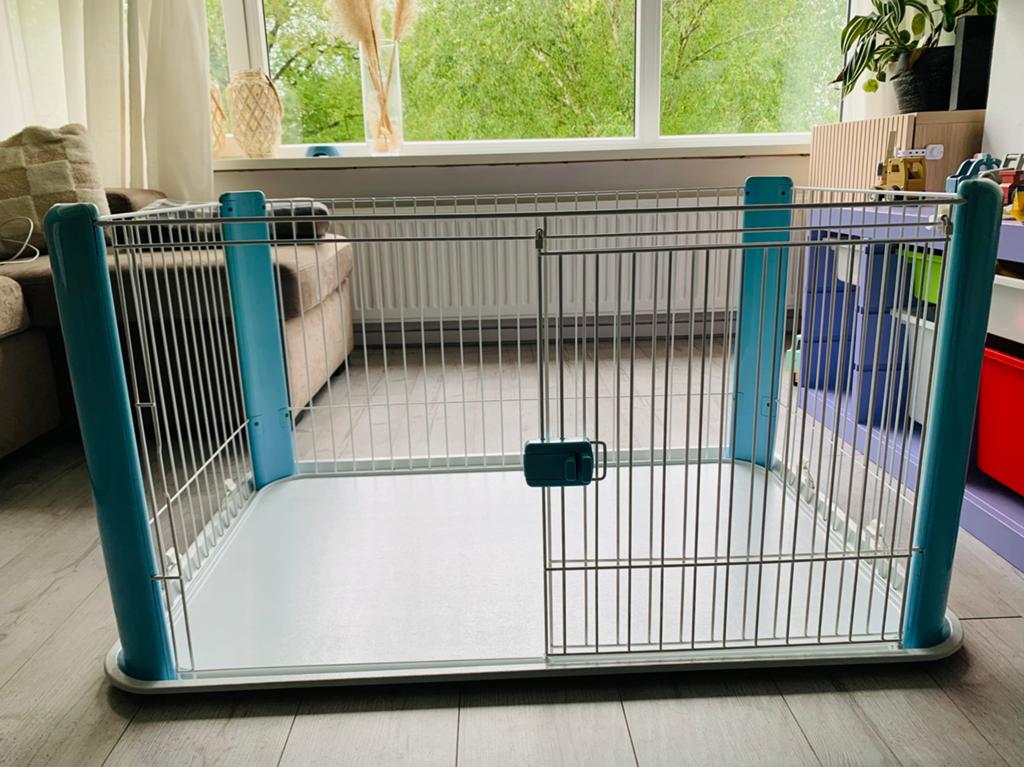 Puppyren lichtblauw, Ophalen, Gebruikt