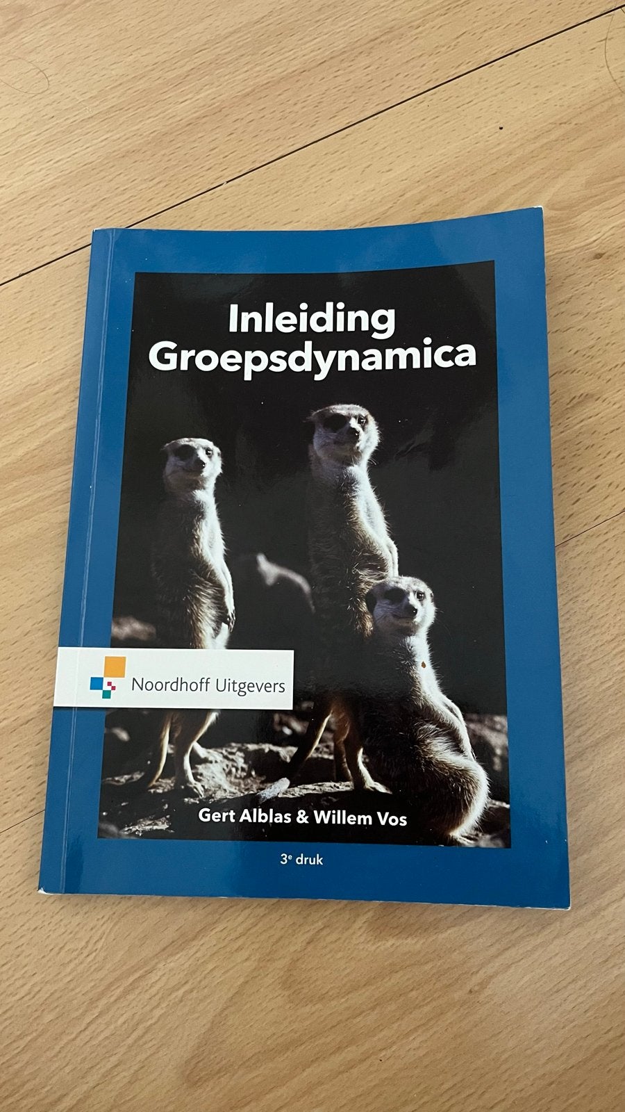 Inleiding Groepsdynamica - Pedagogiek, Boeken, Studieboeken en Cursussen, Ophalen of Verzenden, Gamma, Gelezen, HBO