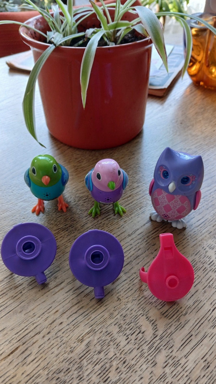 Little Live Pets vogels en uil met fluitjes, Ophalen of Verzenden, Zo goed als nieuw, Jongen of Meisje