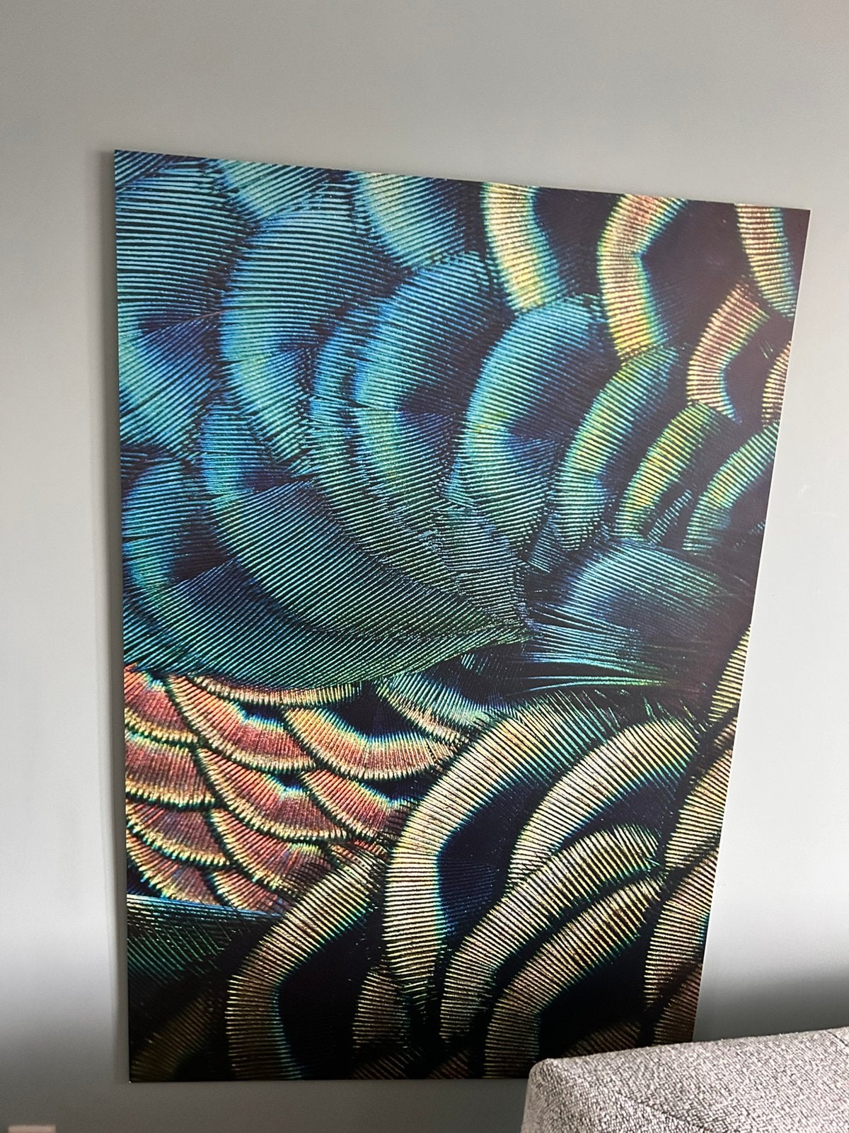 Wanddecoratie pauwen veren Hip Orgnl 100 x 150 cm, Ophalen