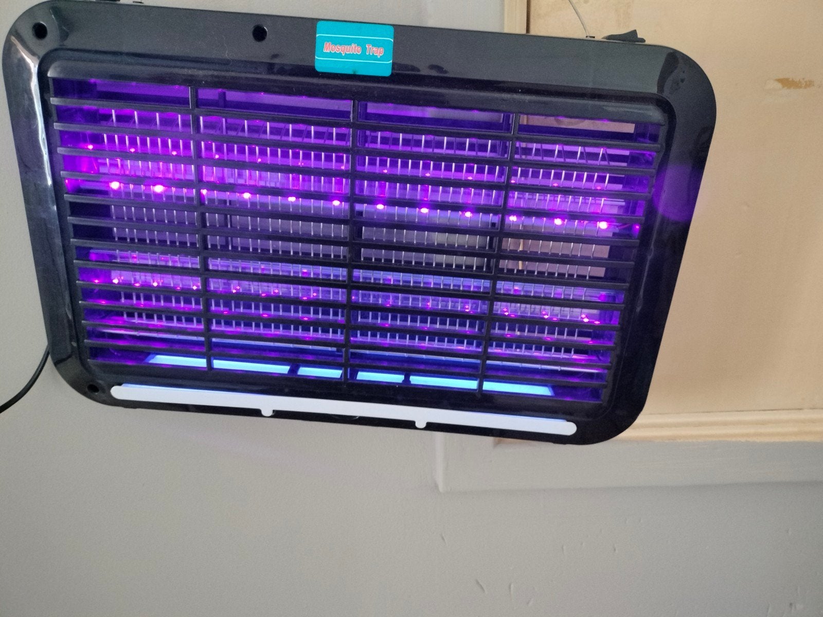 insecten lampen werke perfect teab.mvg, Overige soorten