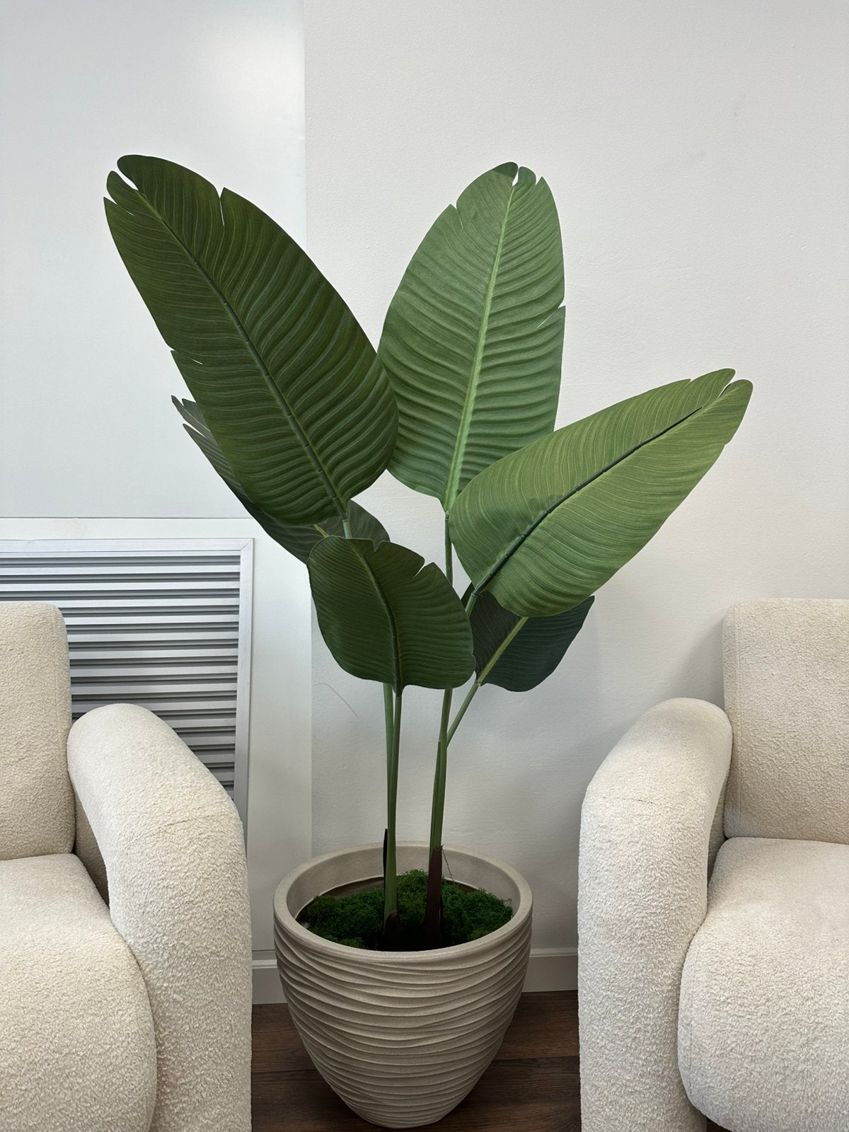 Strelitzia Kunstplant, Ophalen, Volle zon, 100 tot 150 cm