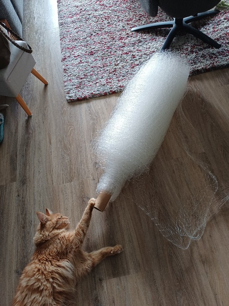 Kattengaas, Dieren en Toebehoren, Ophalen, Zo goed als nieuw