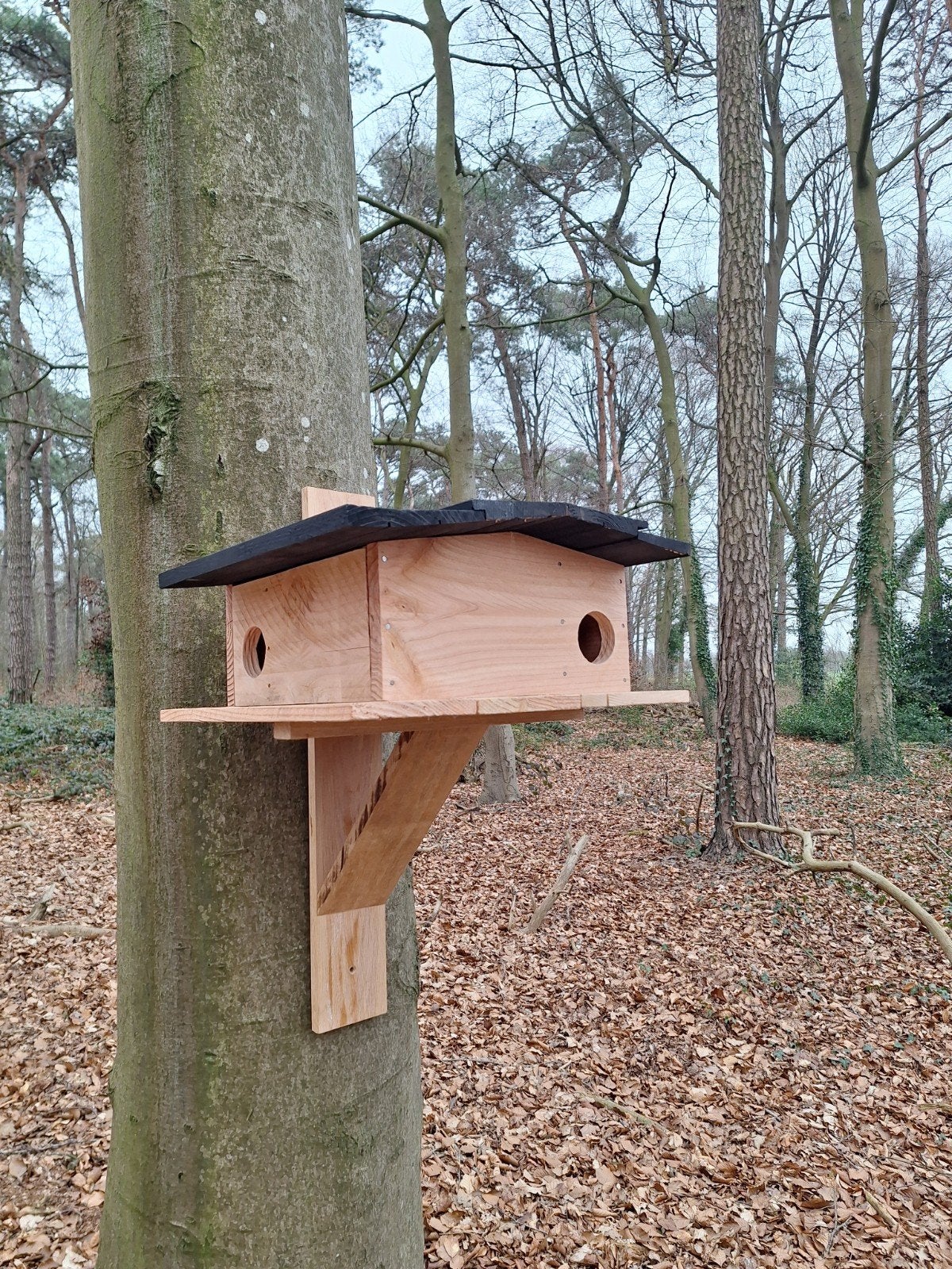 ️ Eekhoorn Nestkast / Verblijf – Duurzaam & Handgemaakt!, Ophalen of Verzenden, Nieuw