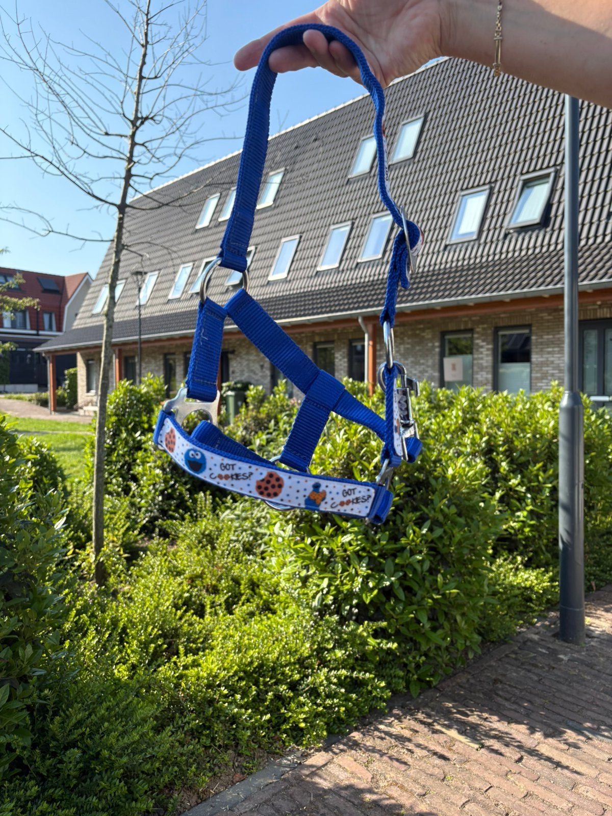Cookie monster halster maat mini shet, Ophalen of Verzenden, Zo goed als nieuw, Overige soorten
