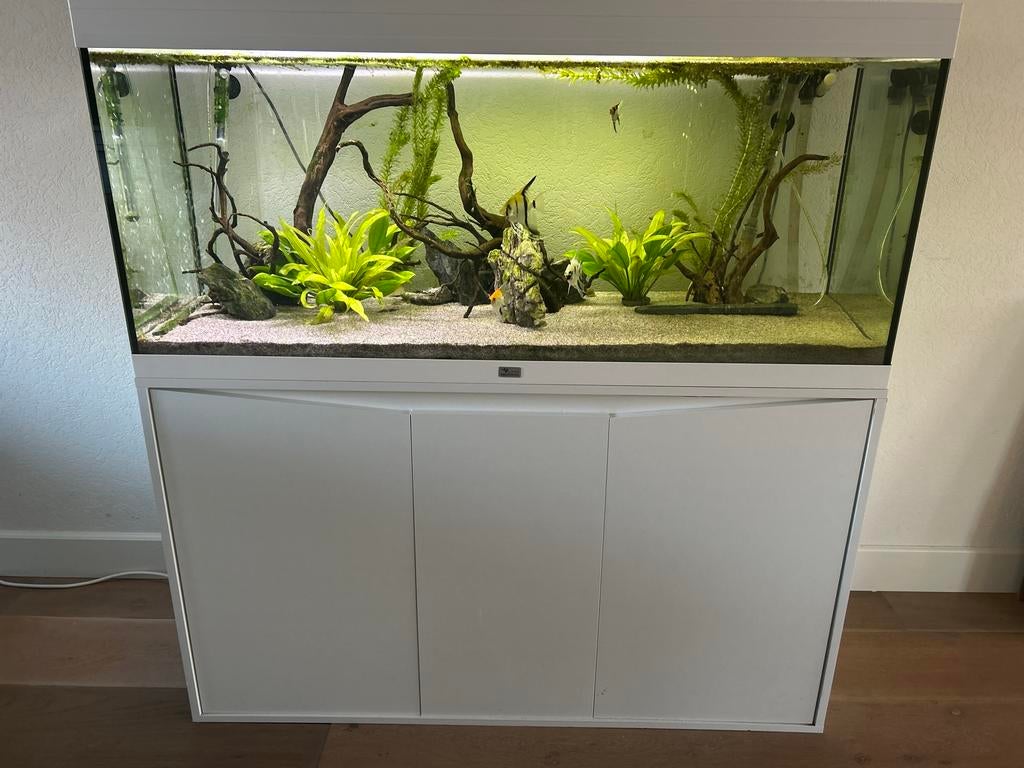 Volledig aquarium alles erop en eraan, Ophalen, Gebruikt, Aquatlantis, Inclusief vissen