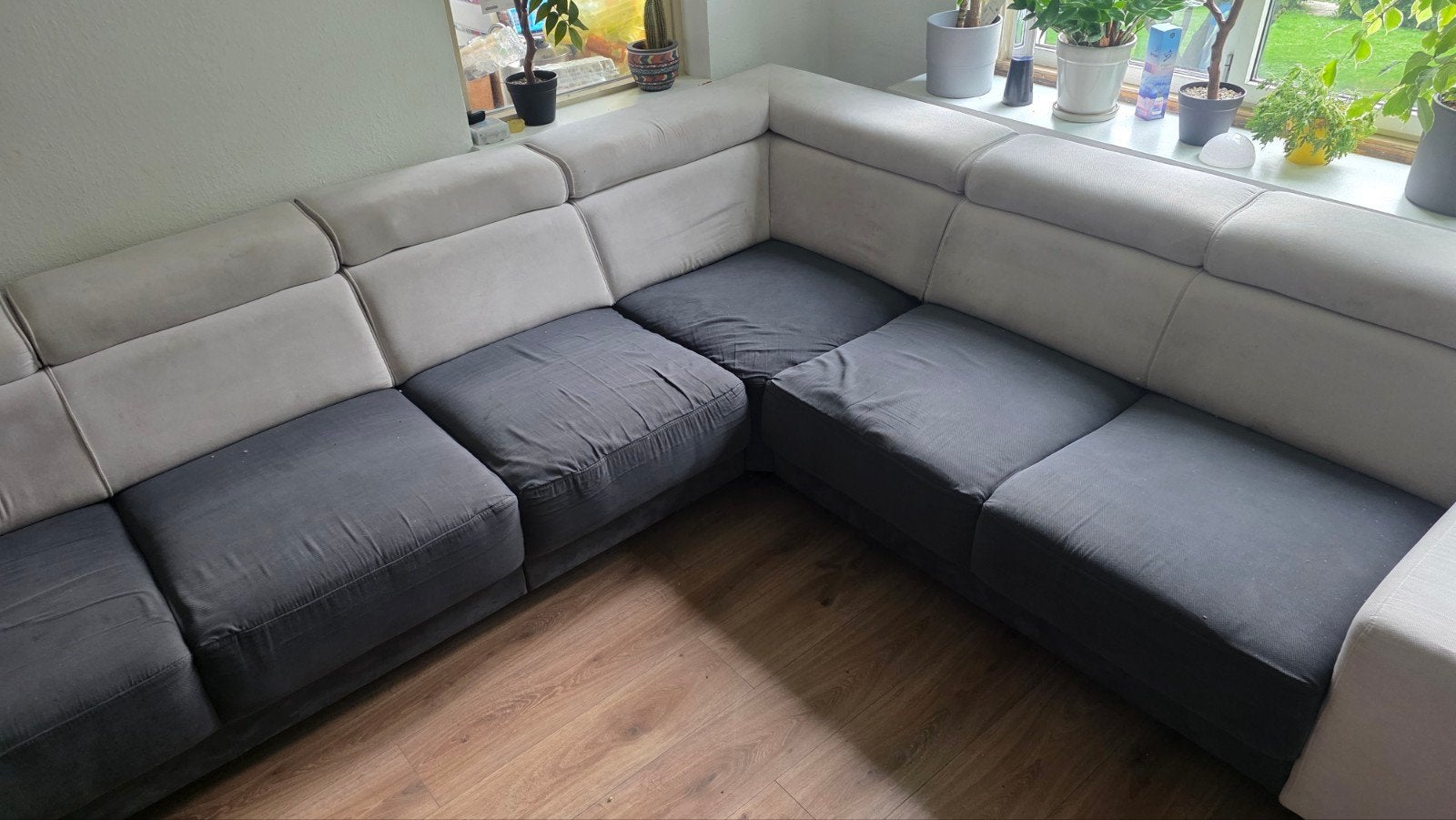 Foto 10 van Professionele meubel- en tapijtreiniging vanaf €65