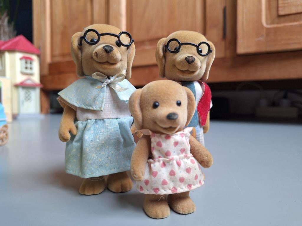 Sylvanian Families Labrador Familie met bril, Ophalen