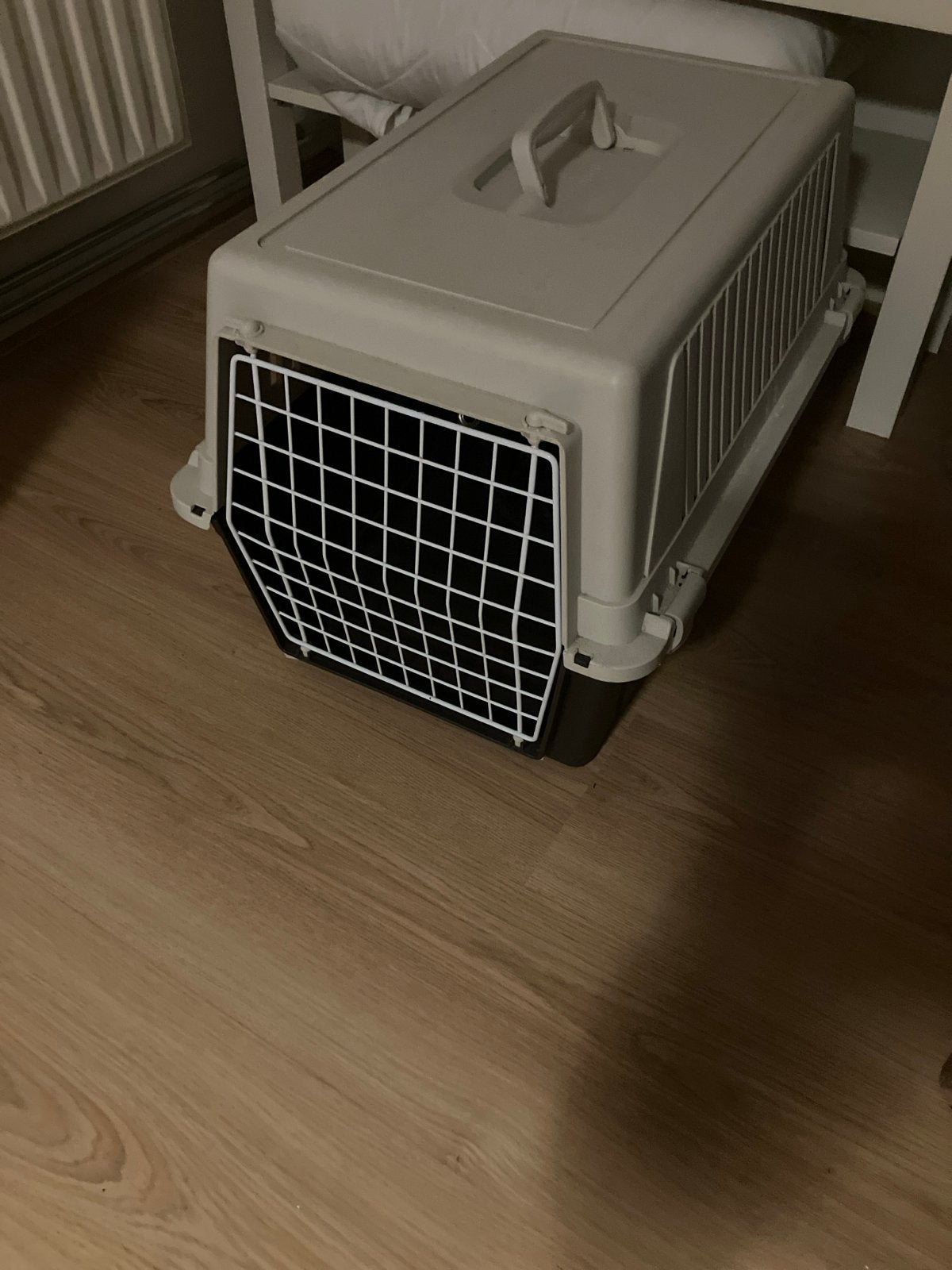 Transportbox kat, Ophalen, Zo goed als nieuw
