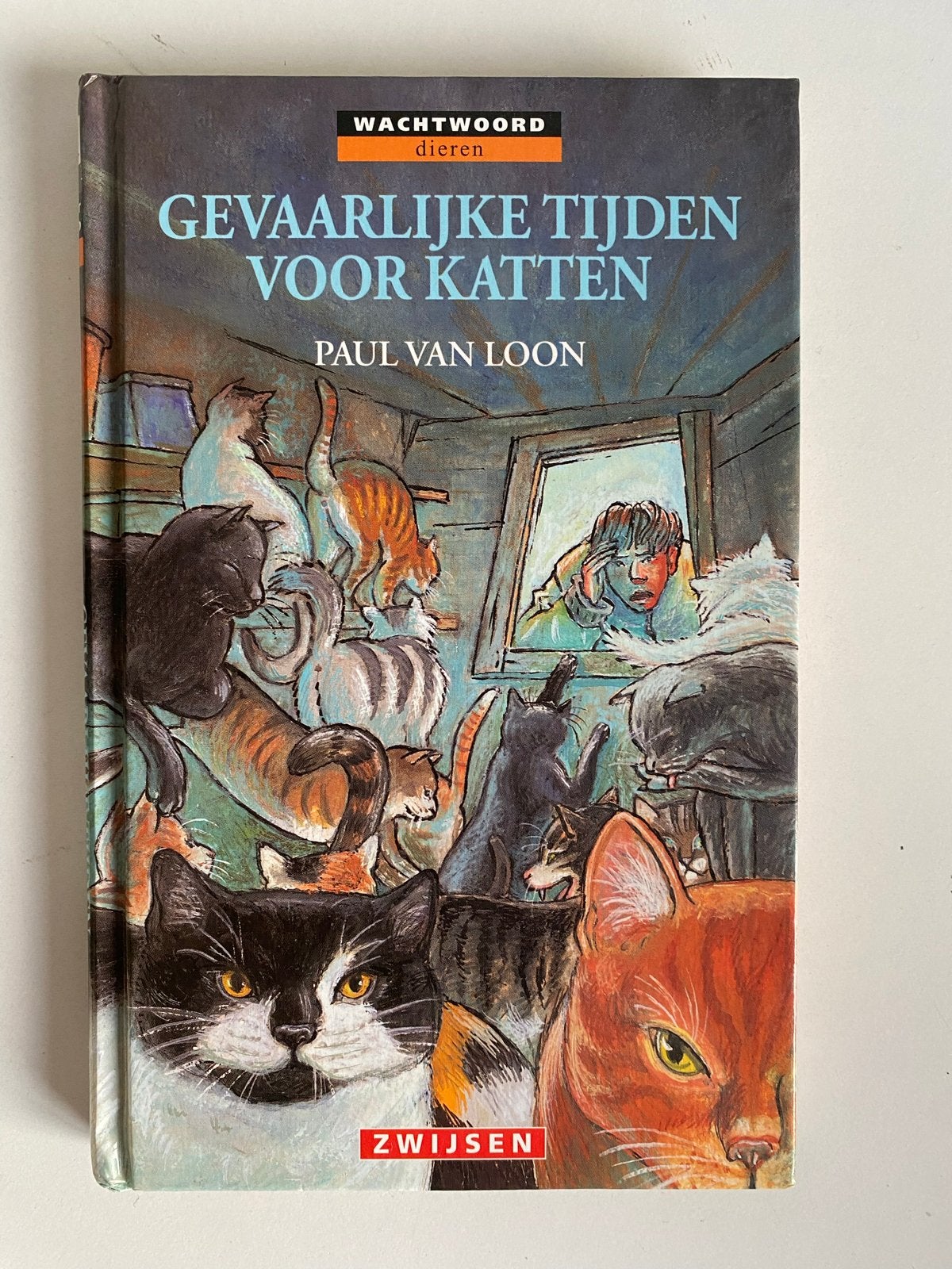 Gevaarlijke Tijden voor Katten - Paul van Loon, Boeken, Ophalen, Gelezen, Fictie algemeen