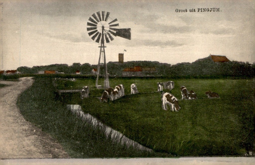 Pingjum Zicht op het dorp # 817, Verzenden, Voor 1920, Ongelopen, Friesland