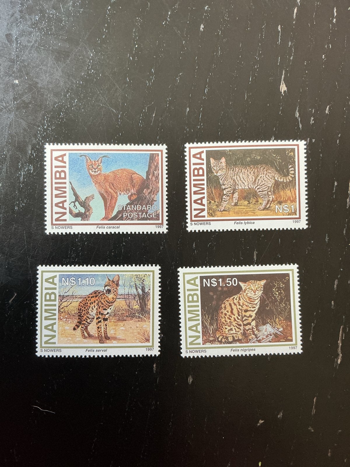 Namibië Postzegels - Wilde Katten (1997), Ophalen of Verzenden, Gestempeld, Dier of Natuur