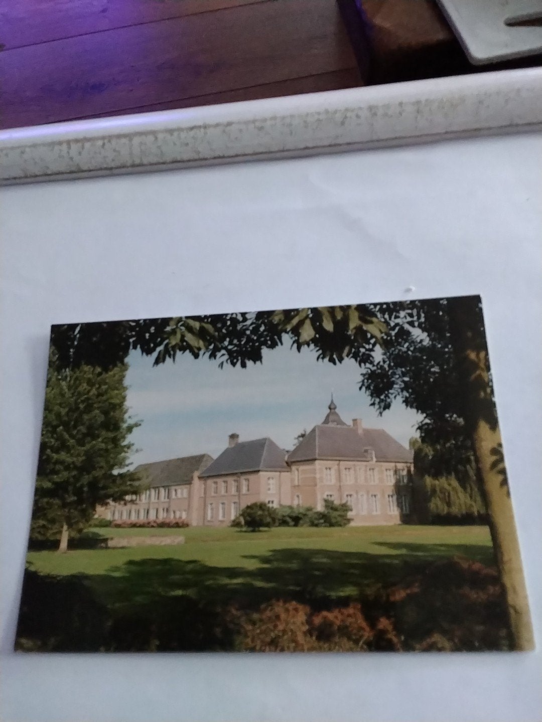 Ansichtkaart Kasteel-Raadhuis Dommelrode Sint-Oedenrode, Ophalen of Verzenden