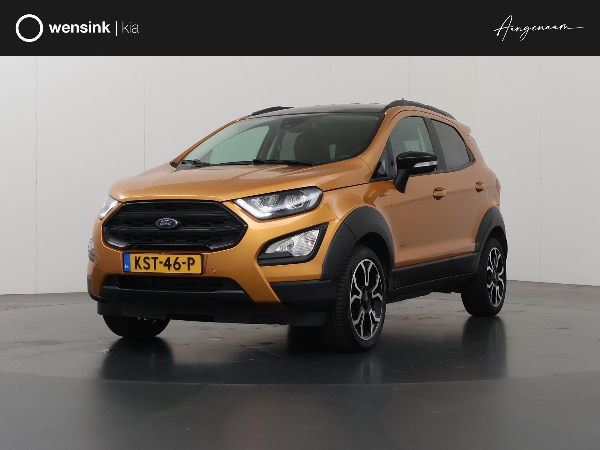 Ford EcoSport 1.0 EcoBoost Active | Navigatie | Lederen Inte