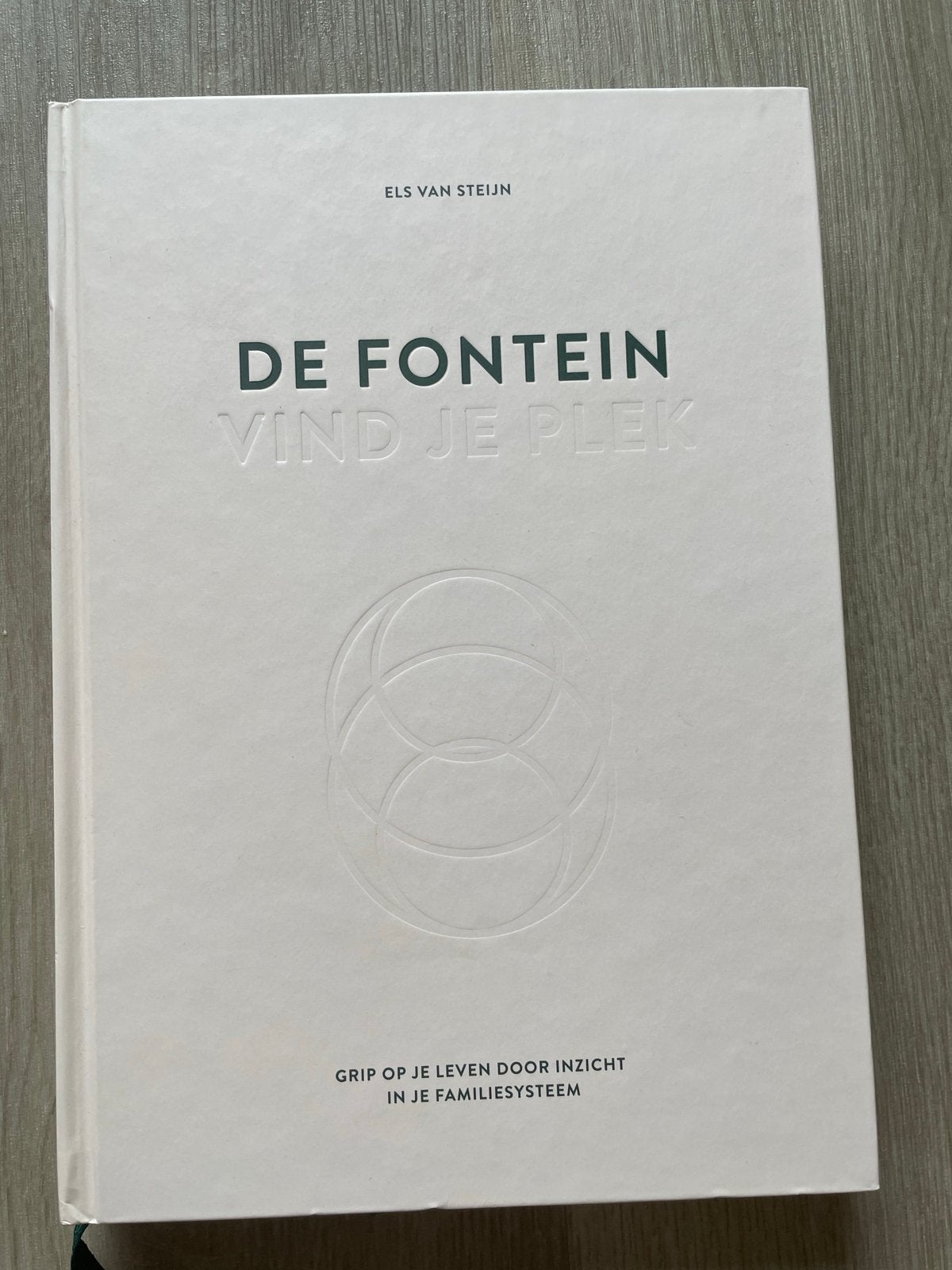 De Fontein, Vind je Plek - Els van Steijn (Zo goed als nieuw, Boeken, Ophalen of Verzenden, Zo goed als nieuw