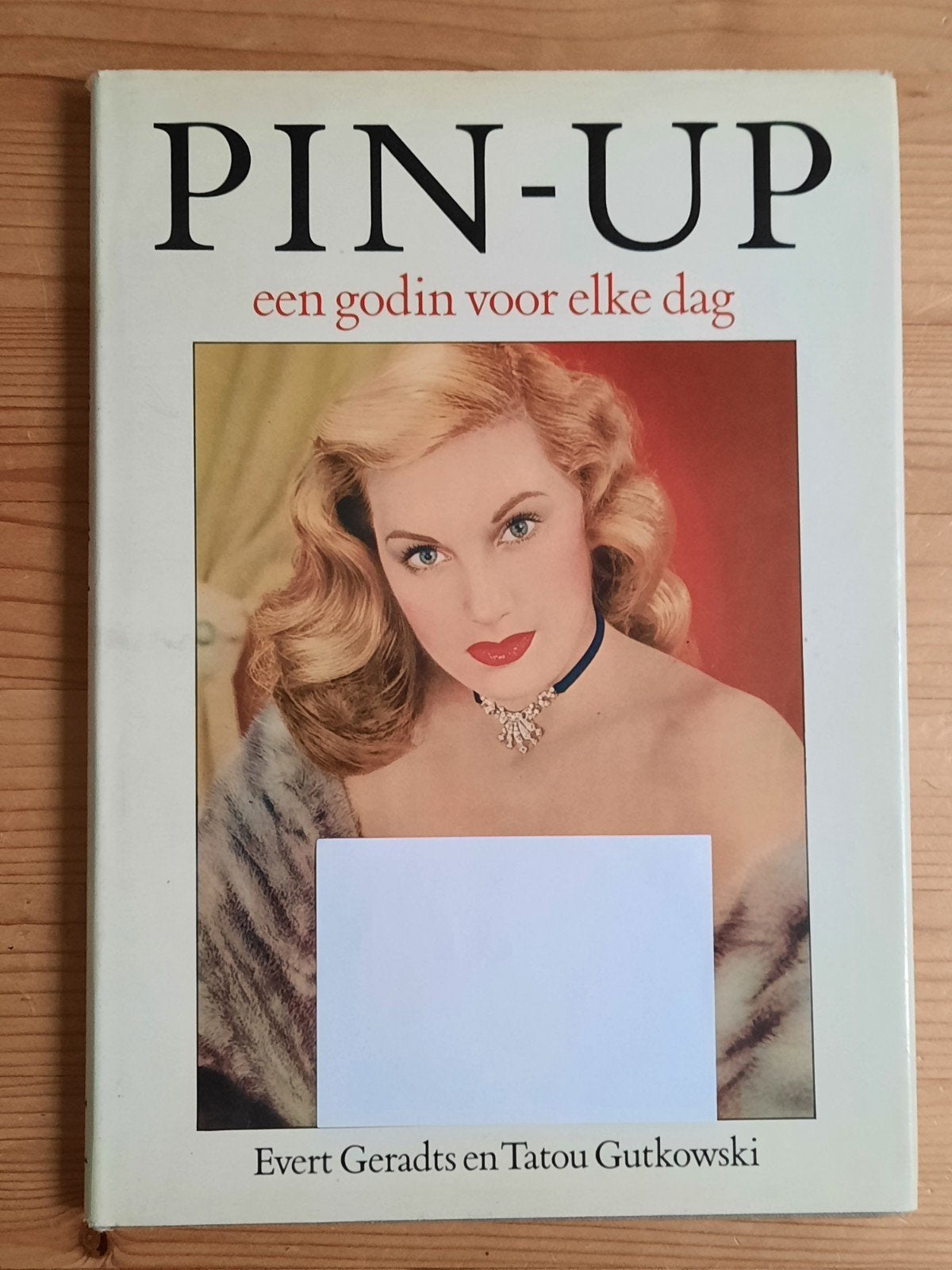 Pin-Up: Een Godin Voor Elke Dag - E.Geradts & T. Gutko, Ophalen of Verzenden, Gelezen