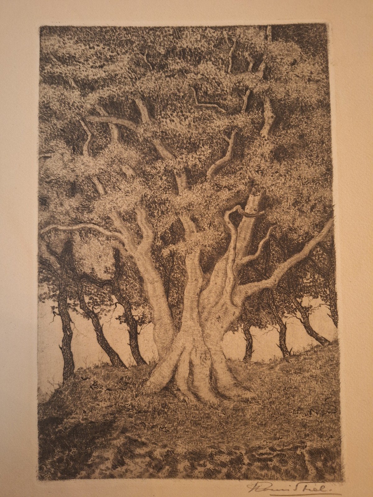 Ets van Louis Stiel: Majestueuze Bomen, Ets, Ophalen of Verzenden, Gesigneerd, Landschap