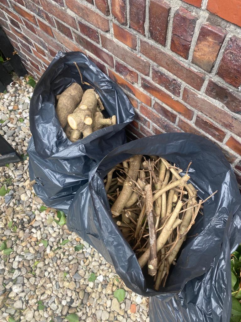 2 vuilniszakken met sprokkelhout: Gratis, Tuin en Terras, Haardhout, Minder dan 3 m³, Ophalen of Verzenden