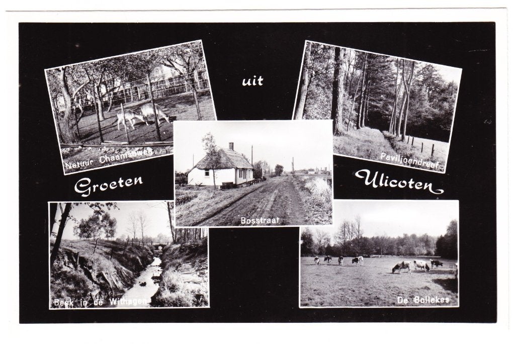Groeten uit Ulicoten - 5 luik, Verzenden, 1960 tot 1980, Ongelopen, Noord-Brabant