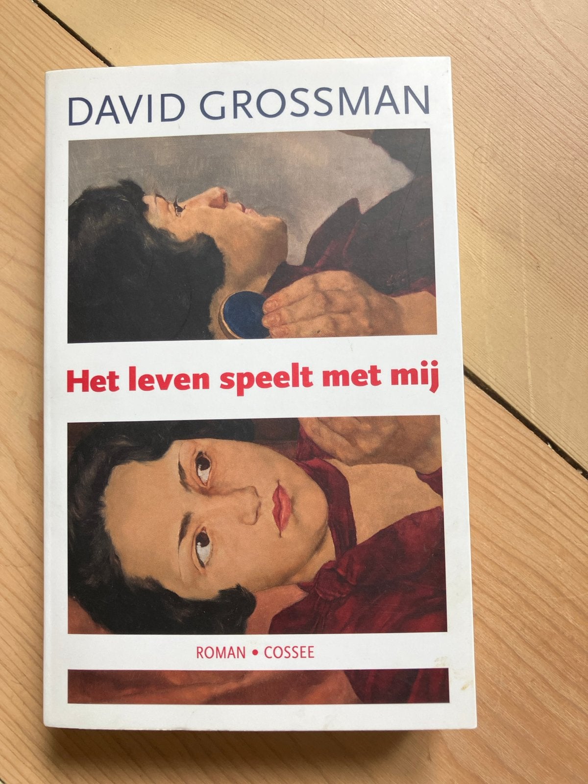 Het leven speelt met mij - David Grossman (Roman), Boeken, Ophalen of Verzenden, Gelezen, Europa overig
