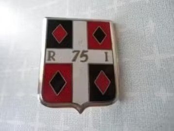 Franse militaire insigne, 75 RI - 75 Régiment d'Infanterie, Verzamelen, Verzenden, Landmacht, Overige gebieden, Embleem of Badge