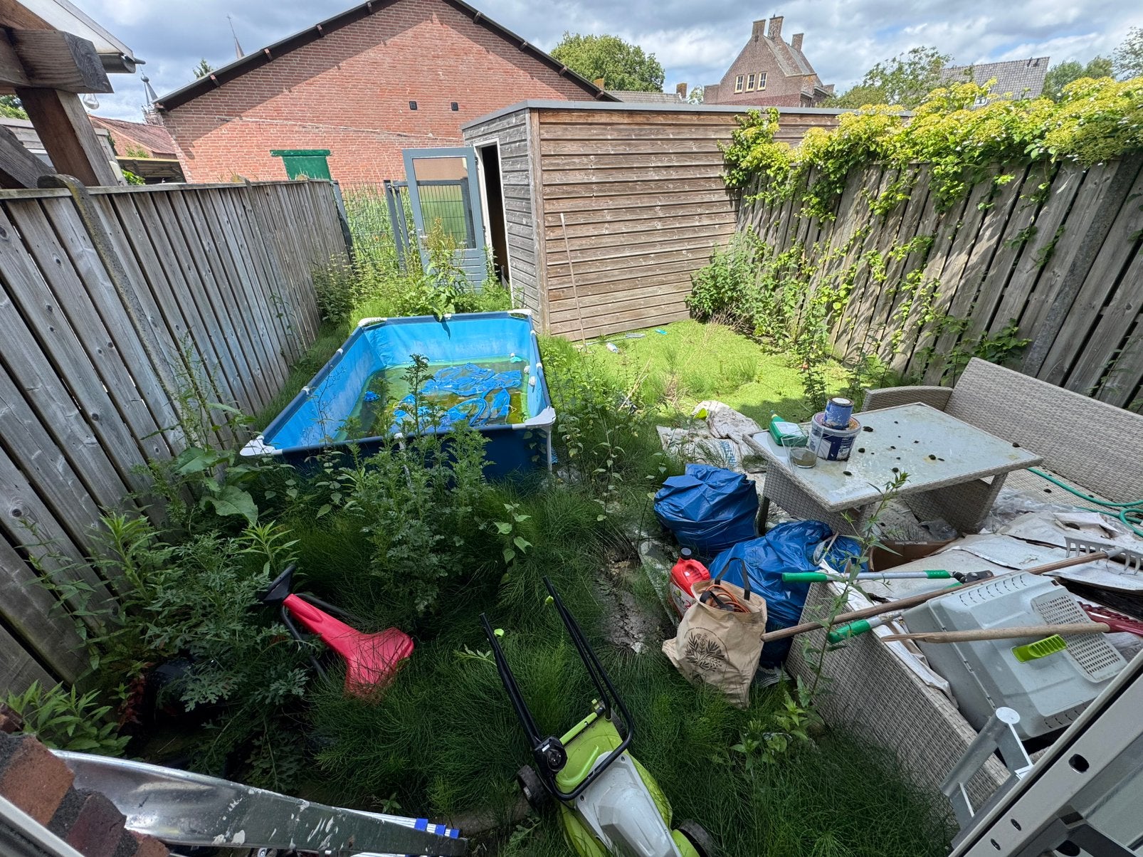 Tuinman  🌴🌳🌿, Tuin en Terras, Planten | Bomen, Ophalen of Verzenden, Volle zon, Overige soorten, Minder dan 100 cm