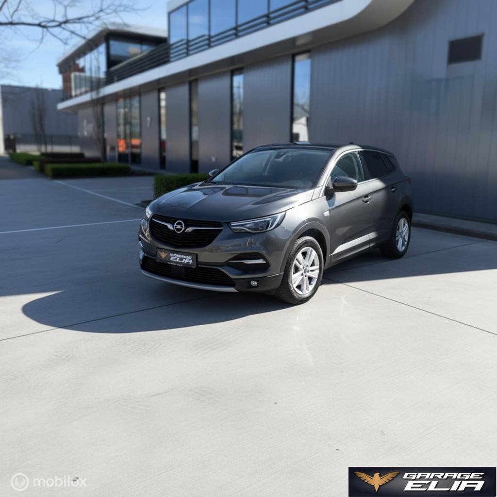 Opel Grandland X 1.2 Turbo Business Elegance| Navi | PDC, Auto's, Opel, Gebruikt, 1199 cc, Met garantie (alle), Leder en Stof