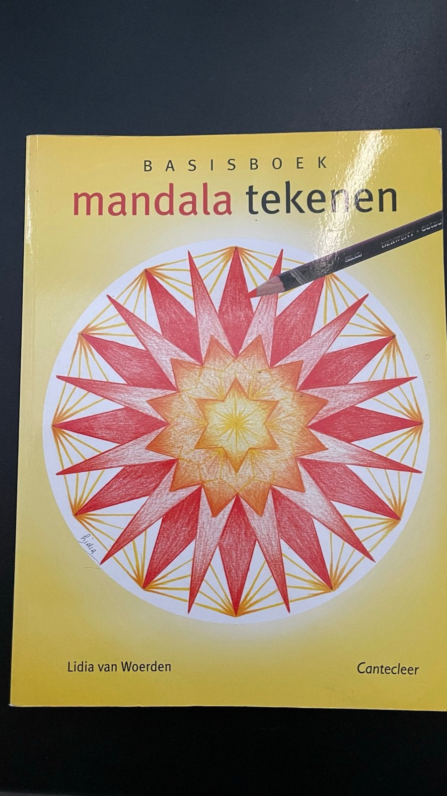 Basisboek Mandala Tekenen, Boeken, Hobby en Vrije tijd, Ophalen of Verzenden, Zo goed als nieuw, Tekenen en Schilderen