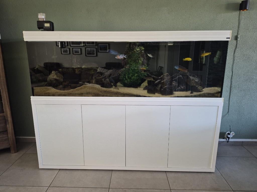 Compleet aquarium 700 liter, Ophalen, Inclusief toebehoren, Gebruikt, Leeg aquarium