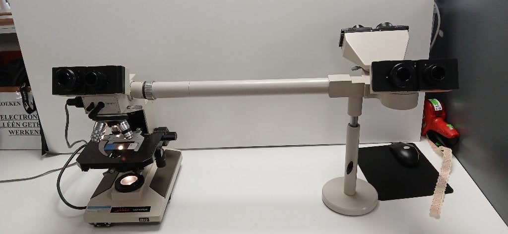 Olympus BH-2 Discussiemicroscoop 2Switchonline, Ophalen, Gebruikt, Biologische microscoop