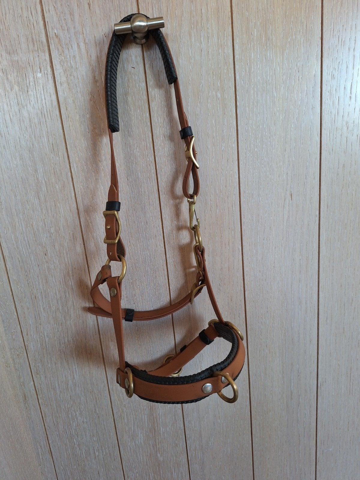 Te koop BioThane halster hoofdstel, Dieren en Toebehoren, Paarden en Pony's | Hoofdstellen en Tuigage, Ophalen of Verzenden, Overige soorten