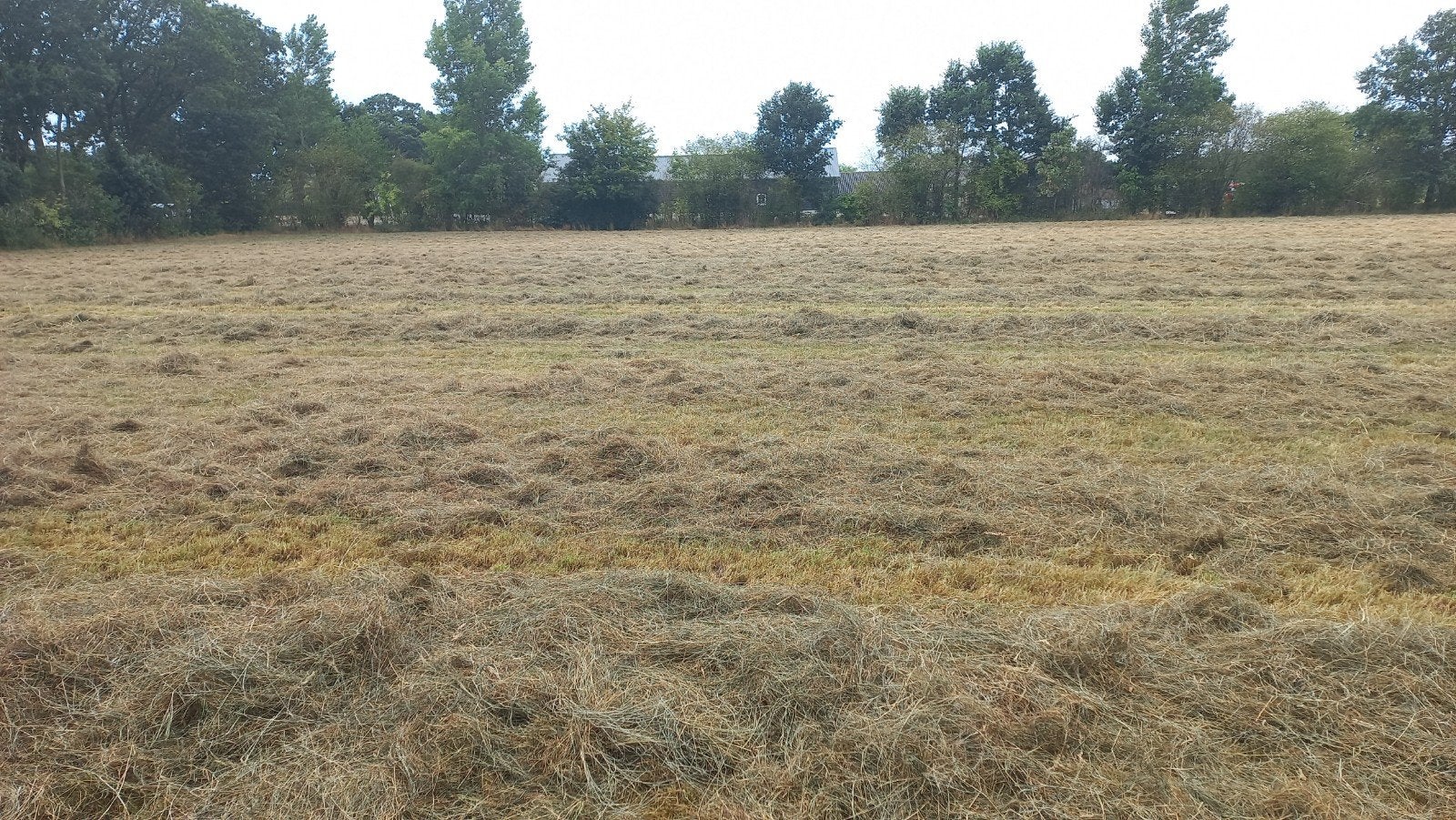 pakken hooi, Dieren en Toebehoren, Dierenvoeding, Ophalen, Vee