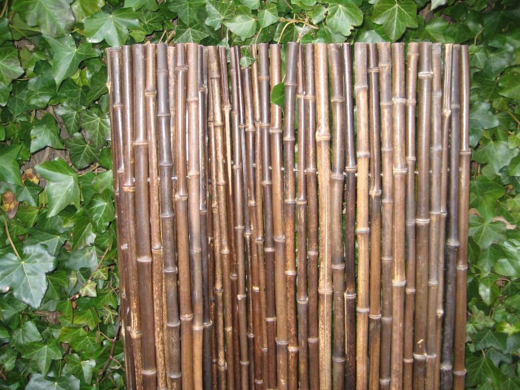 Bamboerolscherm zwart 180 x 180 cm, Ophalen, 150 tot 200 cm, Nieuw, 150 tot 200 cm