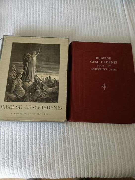 Bijbelse Geschiedenis voor het Katholieke Gezin, Ophalen of Verzenden, F. X. M. Schiphorst, J. A. E. van Dodewaard, Gustave Doré