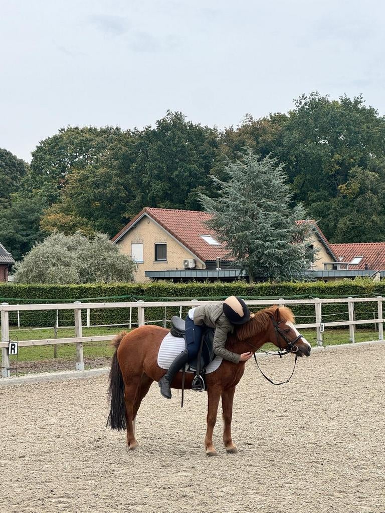 Bijrijd/verzorgster aangeboden (omgeving uden), Ophalen of Verzenden, Nieuw, Overige soorten
