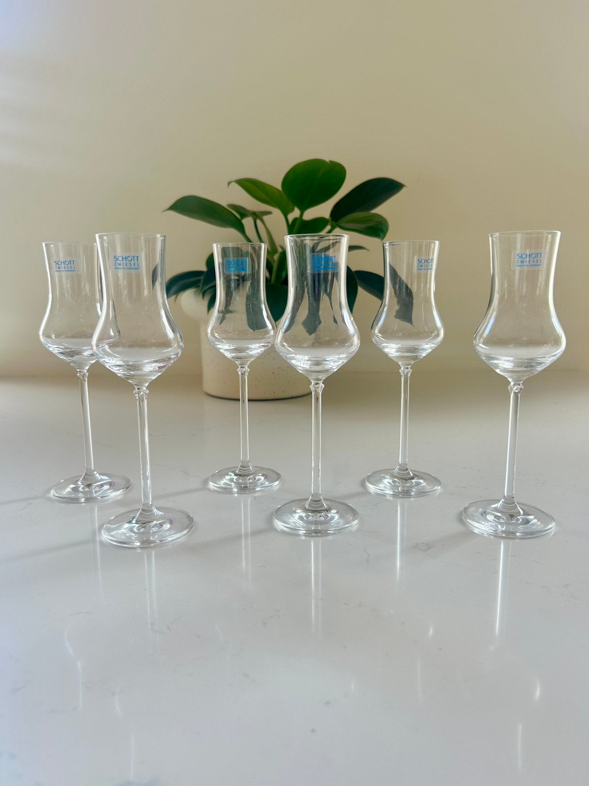 6 Schott Zwiesel grappa glazen | Nieuw | kristal, Ophalen of Verzenden, Nieuw, Overige typen