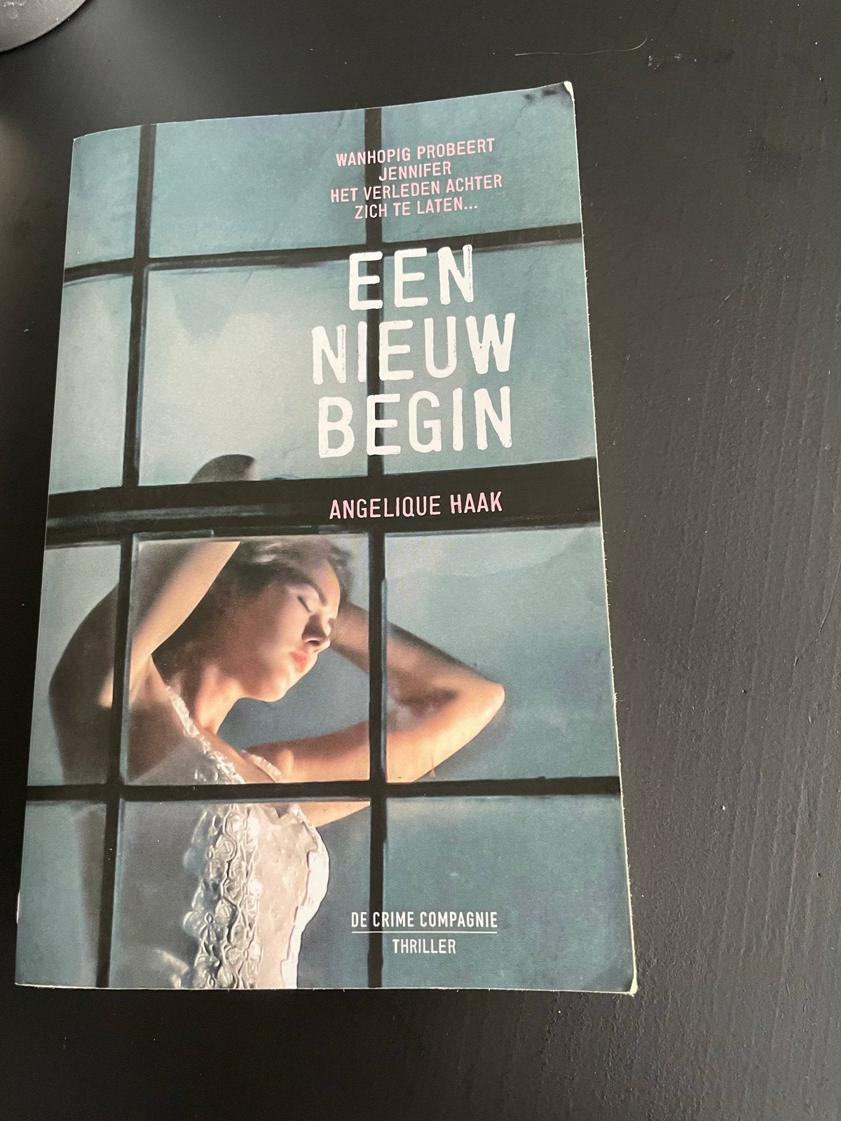 Een Nieuw Begin - Angelique Haak (Thriller), Ophalen of Verzenden, Gelezen